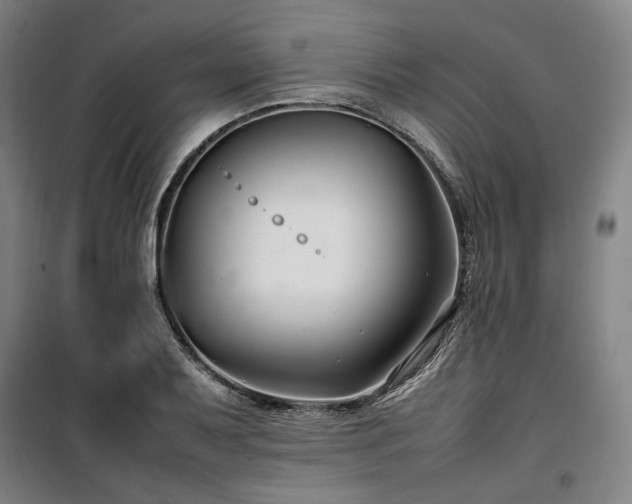X0000100381079200806061213