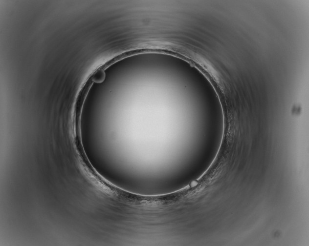 X0000100381080200806061213