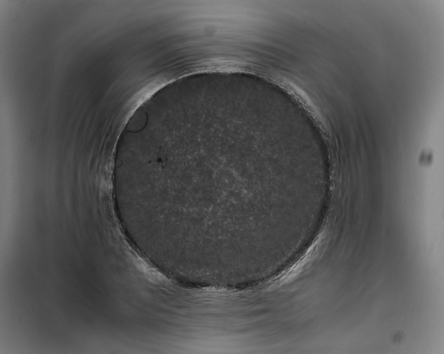 X0000100381081200806061213