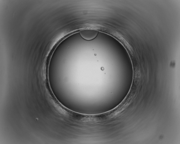 X0000100381083200806061213