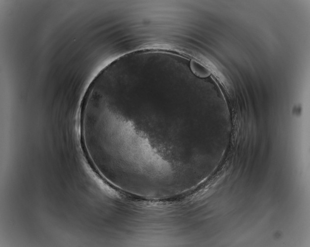 X0000100381084200806061213
