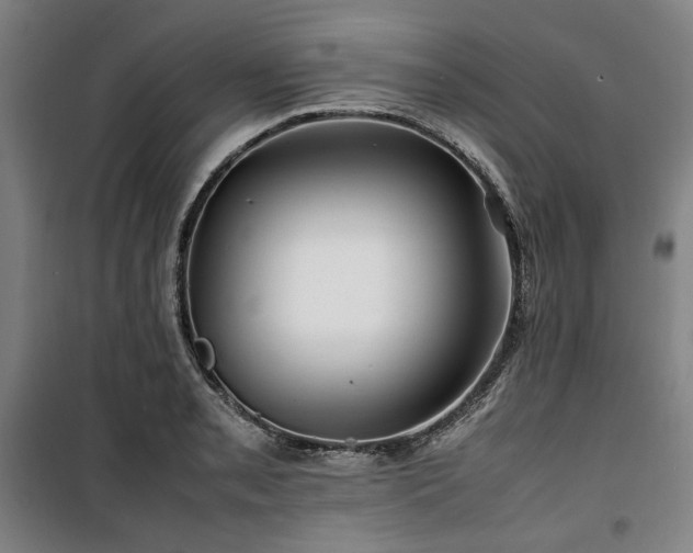 X0000100381085200806061213