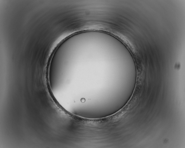 X0000100381086200806061213