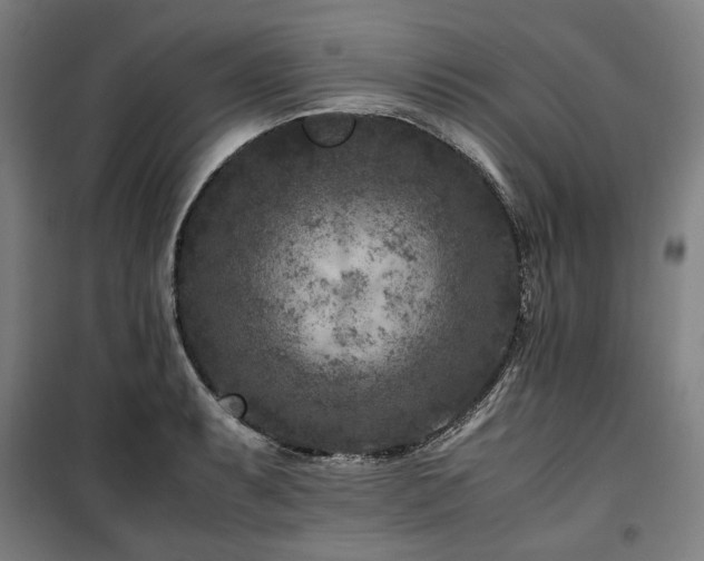 X0000100381087200806061213