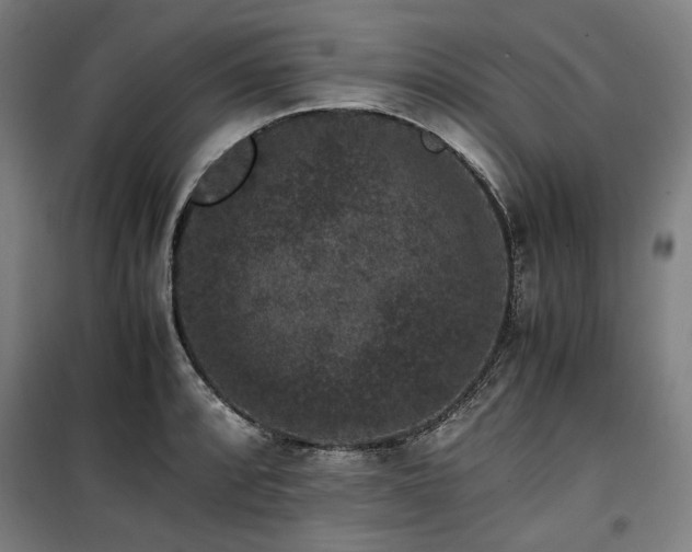 X0000100381088200806061213