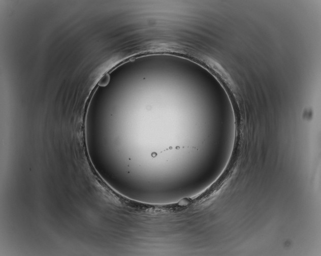 X0000100381089200806061213