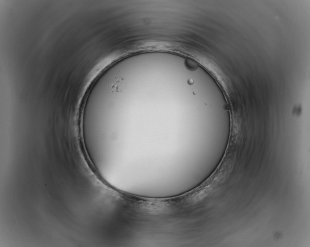 X0000100381090200806061213