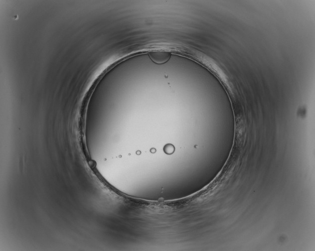 X0000100381091200806061213