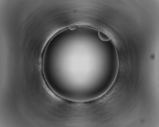 X0000100381092200806061213