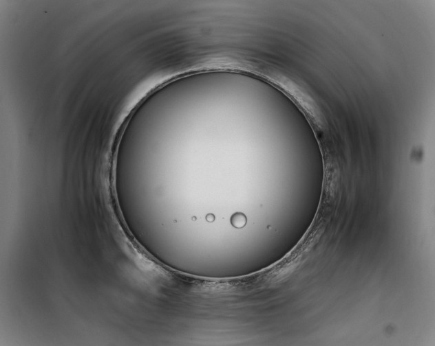 X0000100381094200806061213