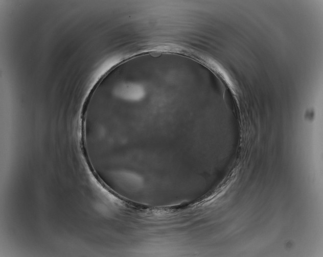 X0000100381095200806061213