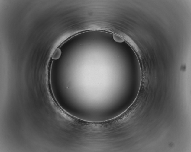 X0000100381096200806061213