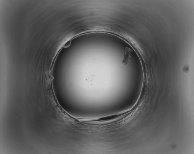 X0000100381097200806061213