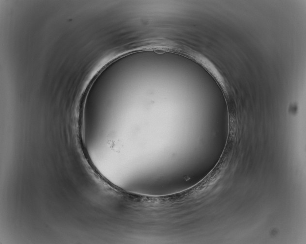 X0000100381099200806061213