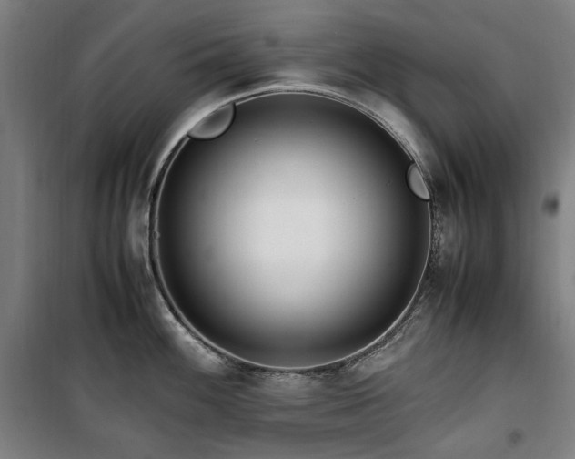 X0000100381100200806061213