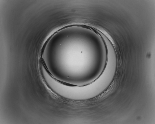 X0000100381101200806061213