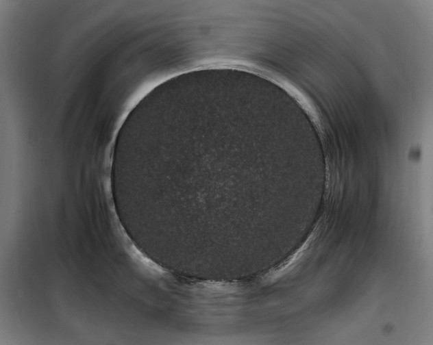 X0000100381102200806061213