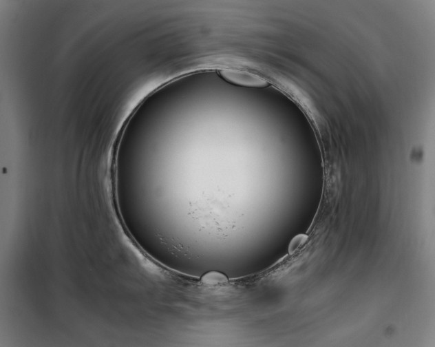 X0000100381103200806061213