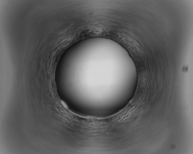 X0000100381105200806061212