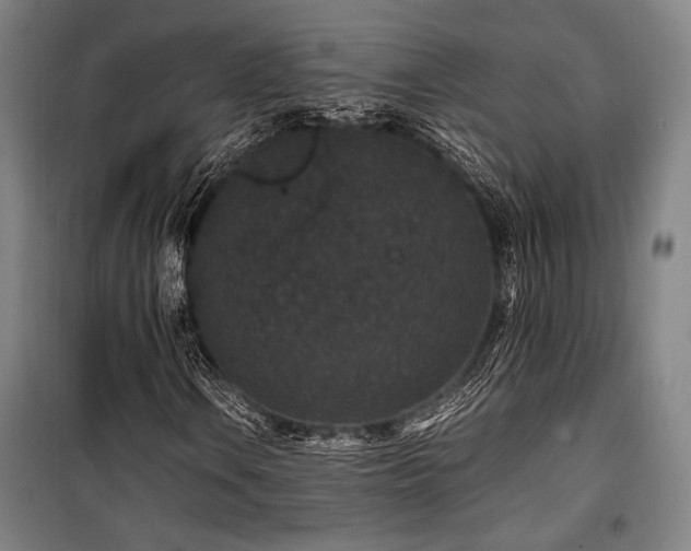 X0000100381106200806061212