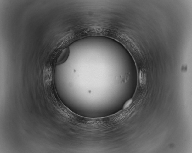 X0000100381107200806061212