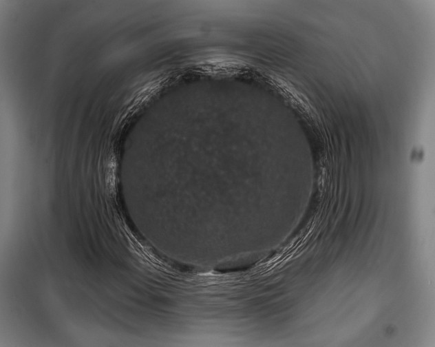 X0000100381108200806061212