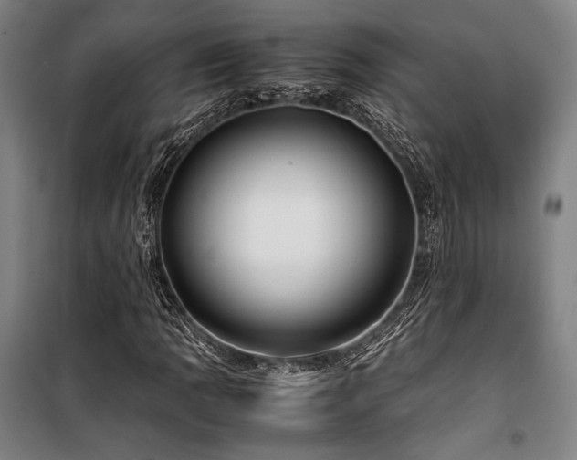X0000100381109200806061212
