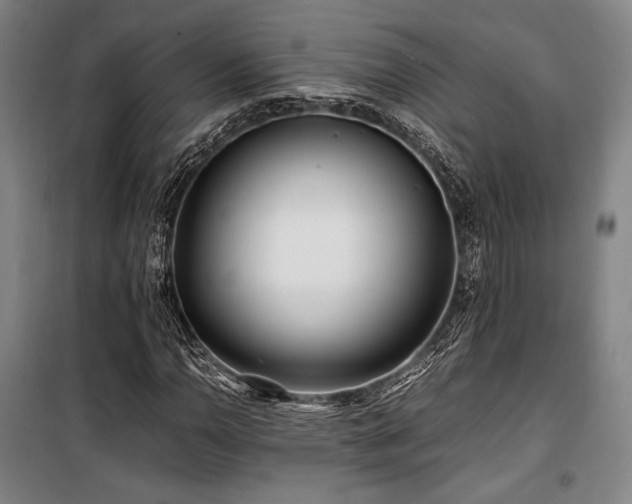 X0000100381110200806061212