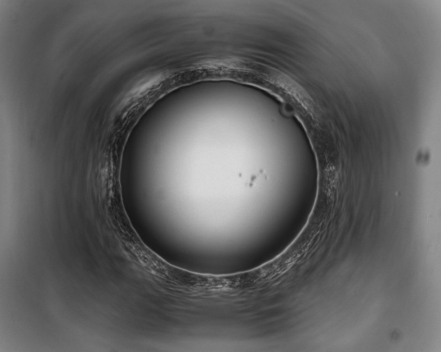X0000100381111200806061212
