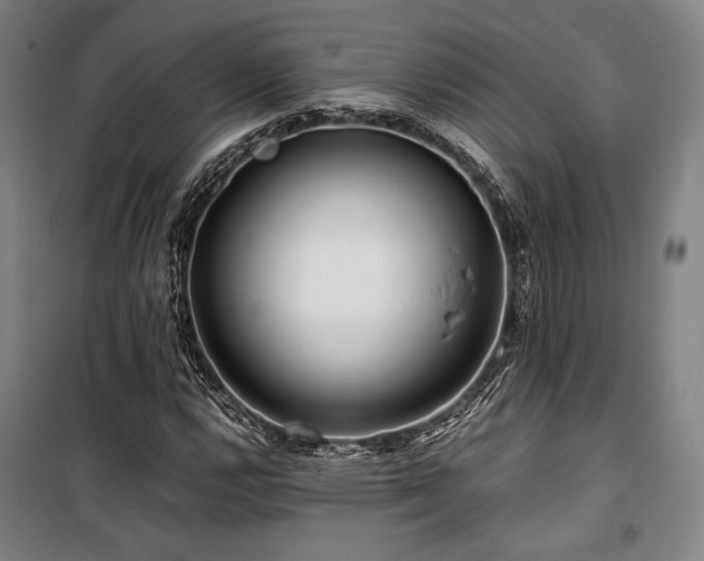 X0000100381112200806061212