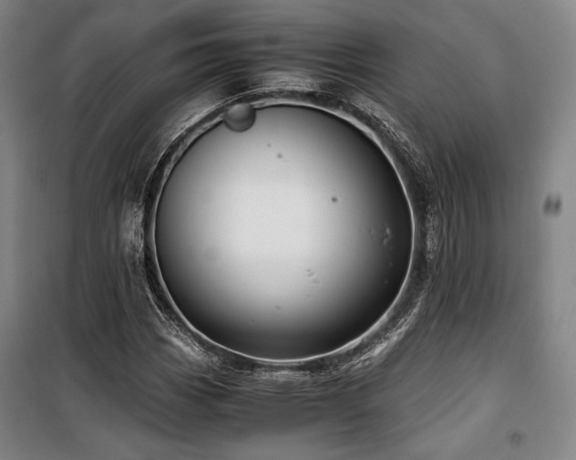 X0000100381113200806061212