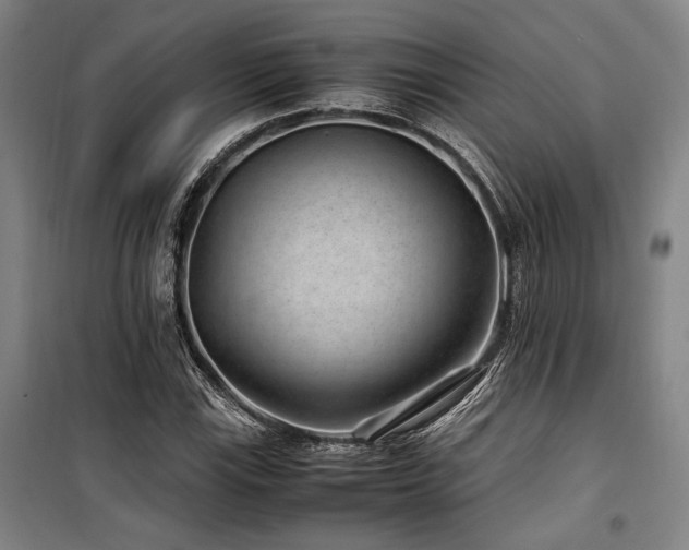 X0000100381115200806061212