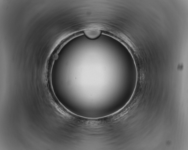 X0000100381116200806061212
