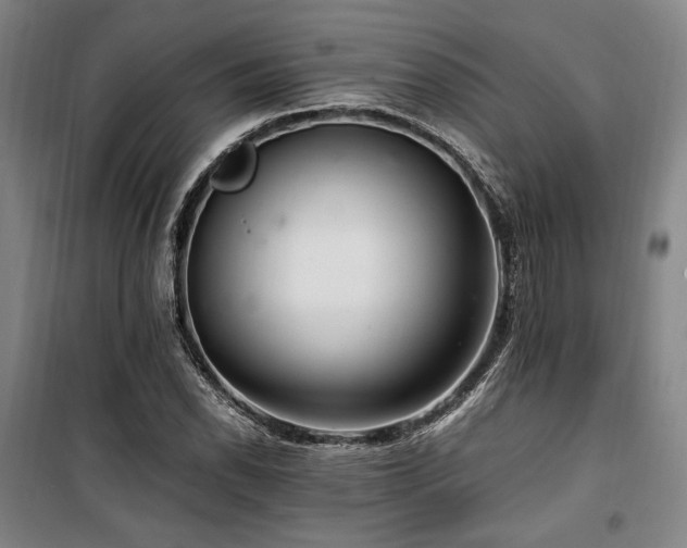 X0000100381118200806061212