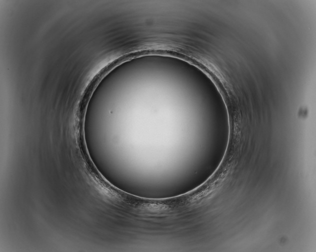X0000100381119200806061212