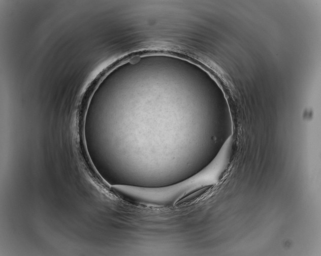 X0000100381120200806061212