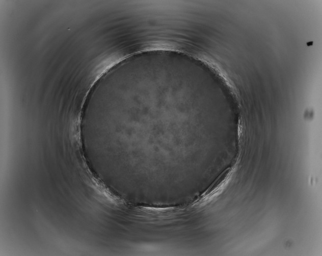 X0000100381121200806061212