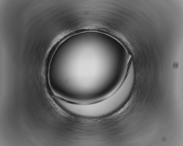 X0000100381122200806061212