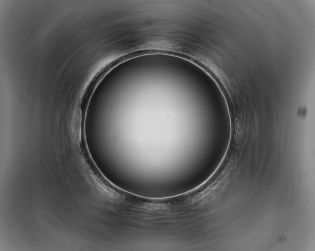 X0000100381123200806061212