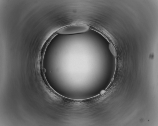 X0000100381124200806061212