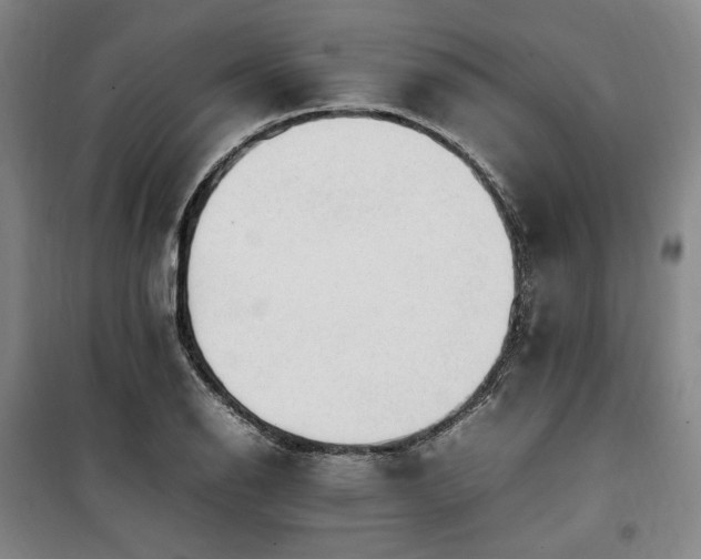 X0000100381126200806061212