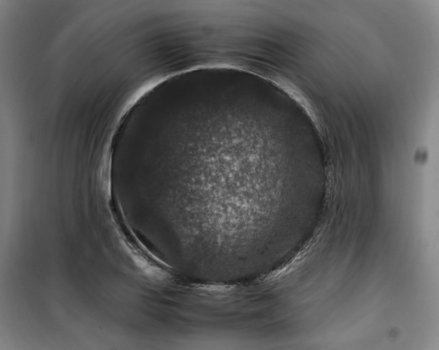 X0000100381127200806061212