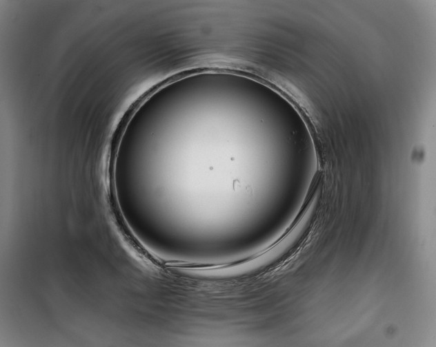 X0000100381128200806061212