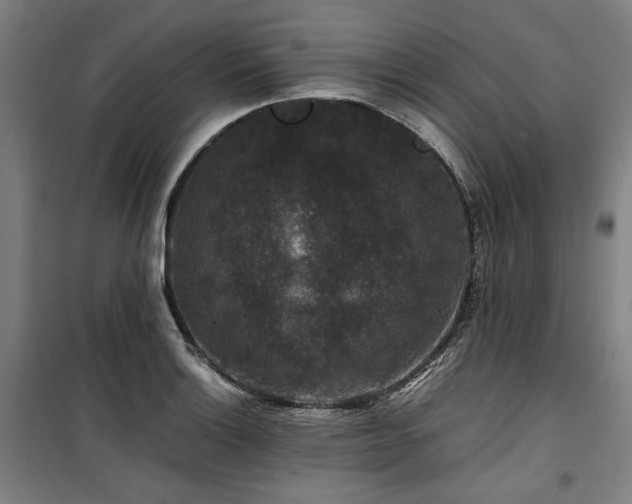 X0000100381132200806061212