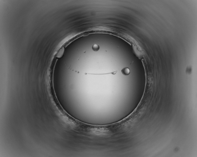 X0000100381133200806061212