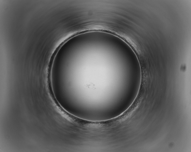 X0000100381134200806061212