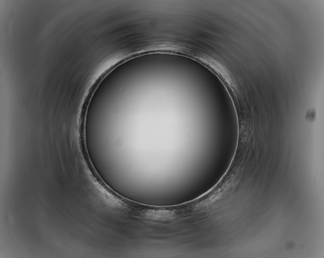 X0000100381135200806061212