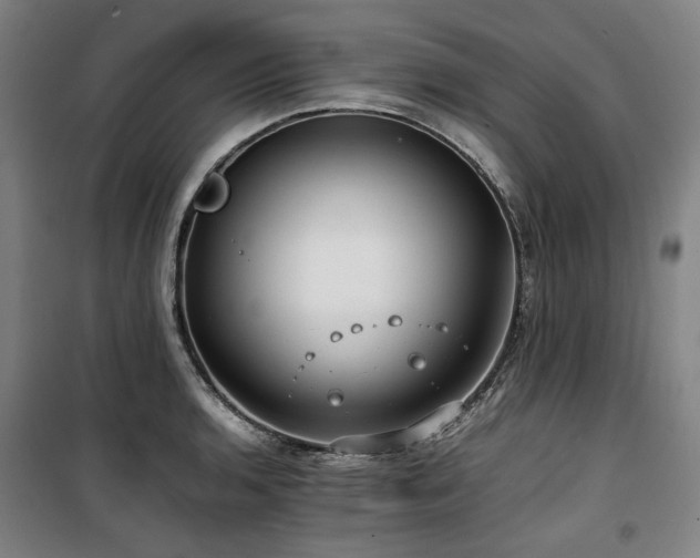 X0000100381136200806061212