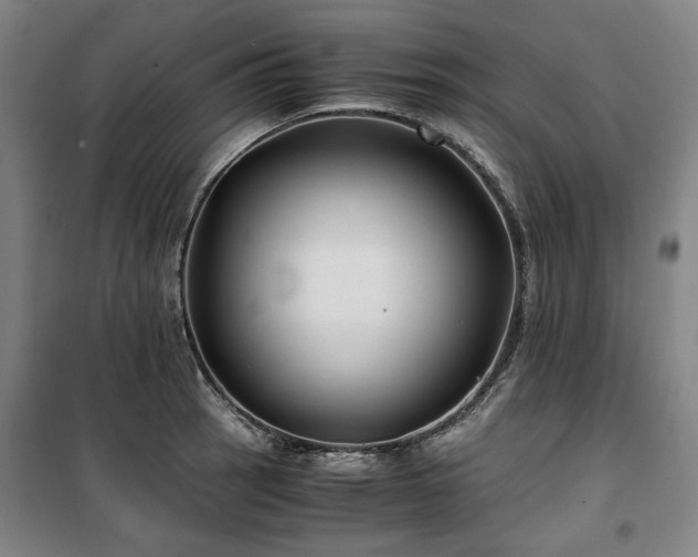X0000100381137200806061212