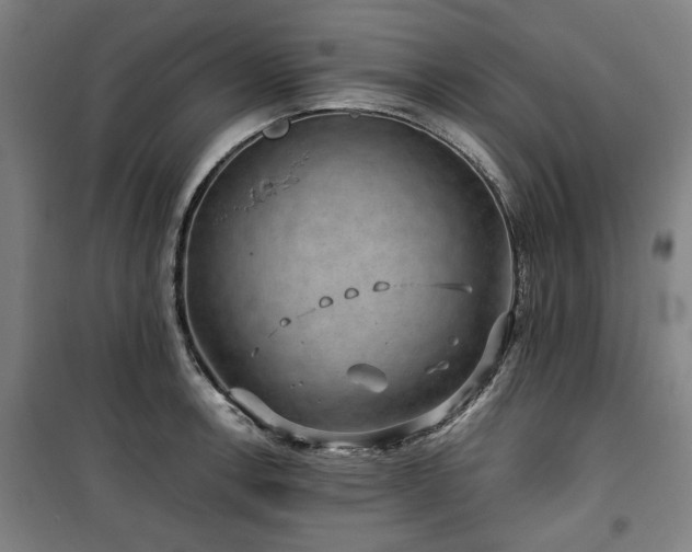 X0000100381138200806061212